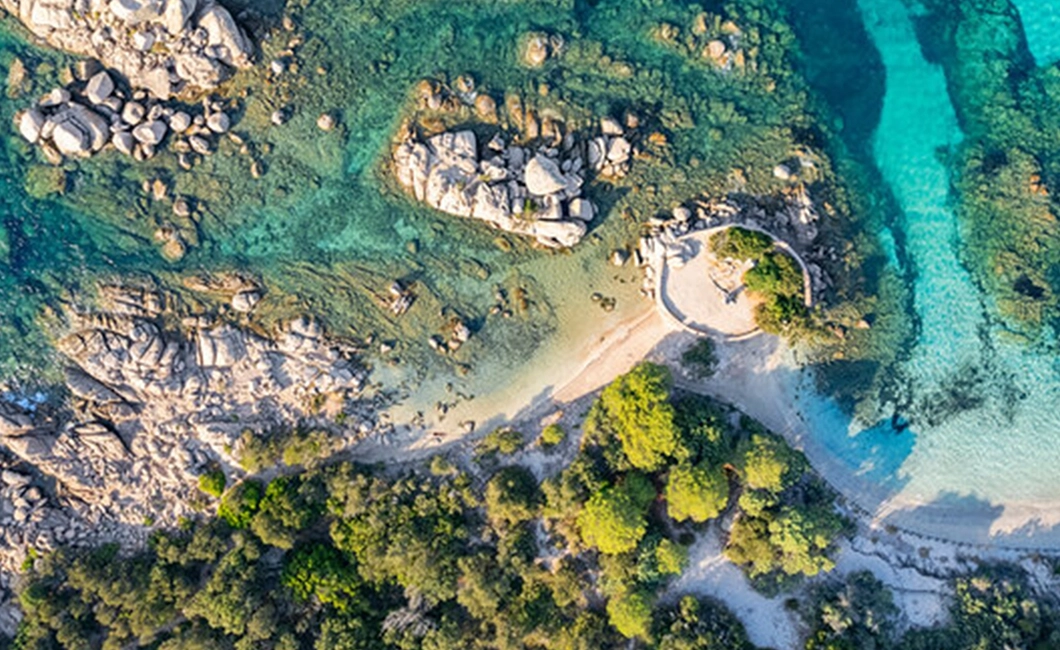 Scuba diving and snorkelling